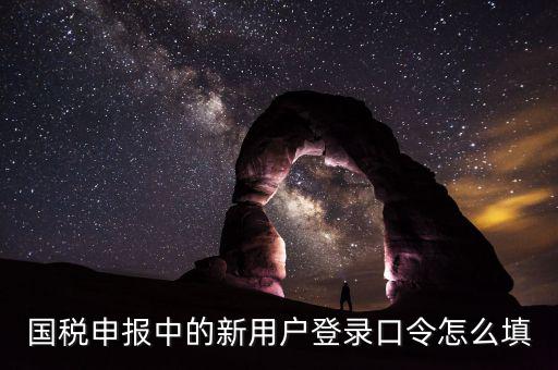 國稅用戶口令是什么，我想問下國家稅務(wù)網(wǎng)上申報(bào)點(diǎn)擊安全登錄時(shí)出現(xiàn)的用戶口令是什么