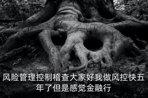 稽查風險管控是什么意思，股票中1風險提示 違規(guī)稽查是什么意思