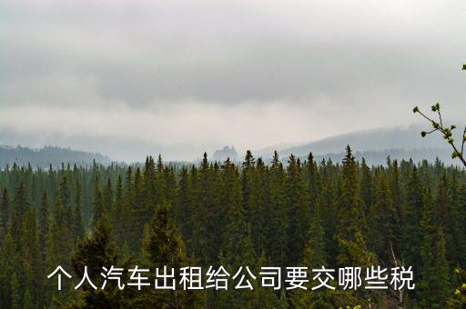 車輛租賃交什么稅，轎車租賃需繳納多少稅控