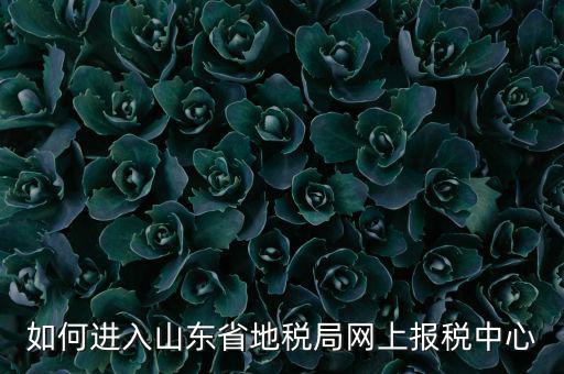 山東地稅密碼是什么，我在山東地稅網(wǎng)上報稅密碼怎么查