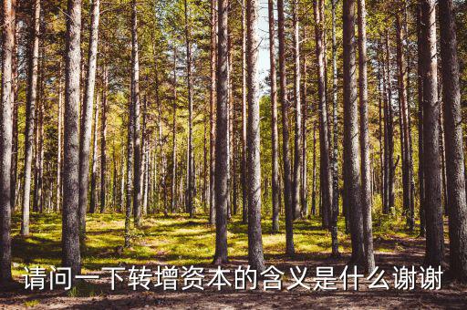 什么是利潤轉(zhuǎn)增資，什么叫轉(zhuǎn)增資本通俗一點(diǎn)越白話越好