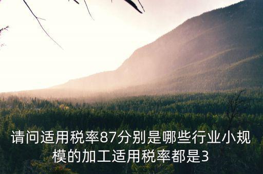 什么叫適用稅率，稅率是什么