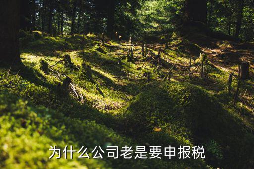 為什么要稅務(wù)申報，為什么公司老是要申報稅