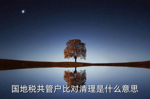 什么是國地稅共管，國稅地稅共管公司都需要每個月報稅嗎意思就是說我每個月地稅