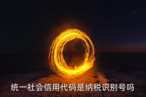 統(tǒng)一社會(huì)信用代碼是納稅識(shí)別號嗎