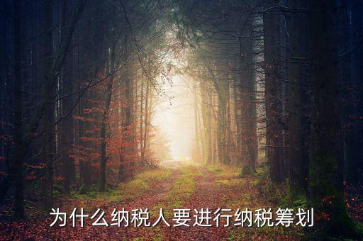 為什么要進(jìn)行稅收規(guī)劃，為什么納稅人要進(jìn)行納稅籌劃