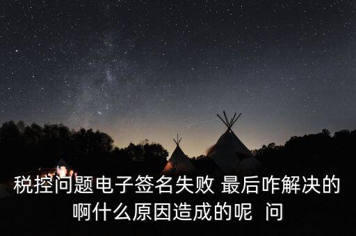 什么是稅控簽名，報(bào)稅時(shí)數(shù)字簽名是甚么意思