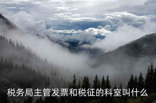 國稅稅務(wù)局都有什么科，稅務(wù)局主管發(fā)票和稅征的科室叫什么