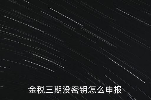 金稅三期沒(méi)密鑰怎么申報(bào)