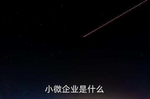 小微企業(yè)包括什么，小微企業(yè)是什么