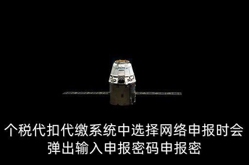 個(gè)稅申報(bào)密碼是什么意思，網(wǎng)上報(bào)稅 報(bào)稅密碼是什么