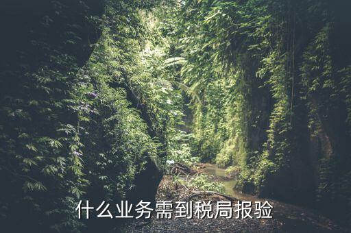什么是稅務(wù)報驗，地稅發(fā)票報驗是什么回事啊 怎么報驗什么時候報驗啊