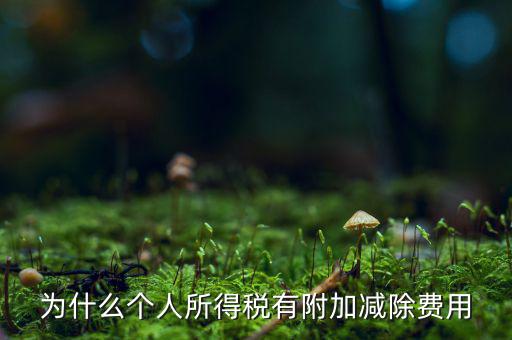 個稅減除費(fèi)用是什么，個人所得稅費(fèi)用扣除什么意思