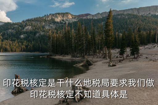 印花稅核定依據(jù)填什么意思，核定征收印花稅計稅依據(jù)