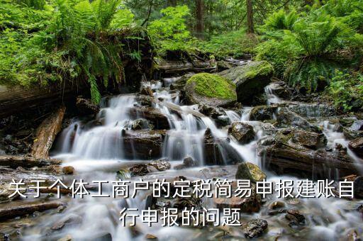 關(guān)于個(gè)體工商戶的定稅簡(jiǎn)易申報(bào)建賬自行申報(bào)的問題
