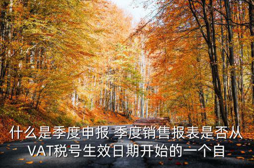什么是季度申報(bào)表，有關(guān)企業(yè)申報(bào)的季度報(bào)表