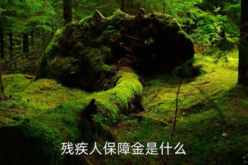 什么叫殘疾人就業(yè)保障金，殘疾人就業(yè)保障金