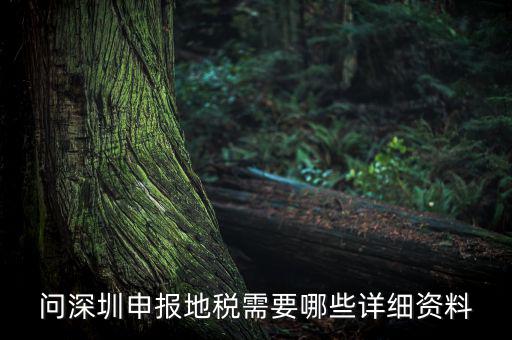 深圳市的地稅申報(bào)是什么，深圳市地稅怎么申報(bào)