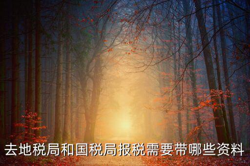 國稅報(bào)稅需要什么材料，去地稅局和國稅局報(bào)稅需要帶哪些資料