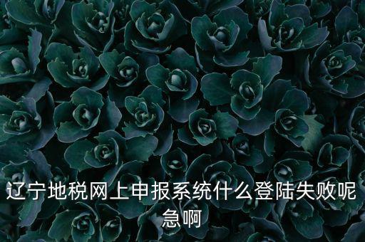 遼寧網(wǎng)上報稅為什么進不去，遼寧地稅網(wǎng)上申報系統(tǒng)什么登陸失敗呢急啊