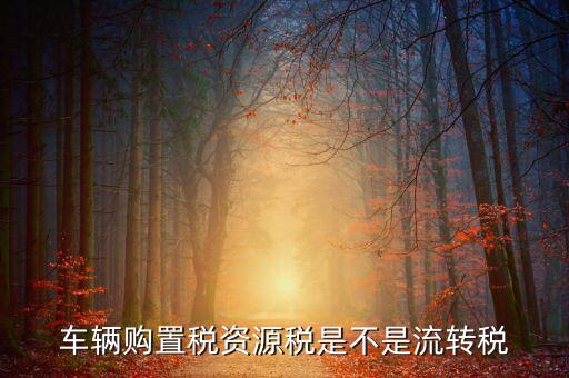 資源稅改革是什么，資源稅是地稅還是國(guó)稅