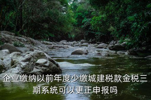 金稅三期更正申報需要什么資料，企業(yè)繳納以前年度少繳城建稅款金稅三期系統(tǒng)可以更正申報嗎