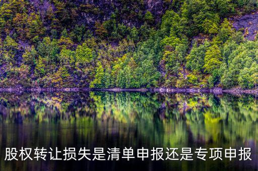 股權轉(zhuǎn)讓損失是清單申報還是專項申報