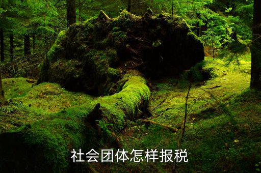 社會(huì)團(tuán)體應(yīng)交什么稅，社會(huì)團(tuán)體納稅問題