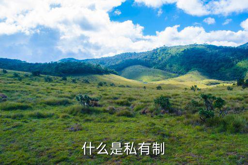 什么是中稅，什么是私有制
