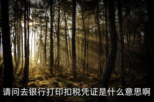 稅收憑證是什么，什么是完稅憑證啊