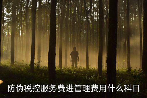 防偽稅控服務(wù)費是什么意思，繳納電子鑰匙的年費是防偽稅控服務(wù)費嗎