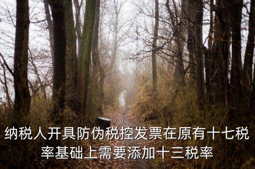 金稅卡加稅率有什么，金稅盤稅額問(wèn)題