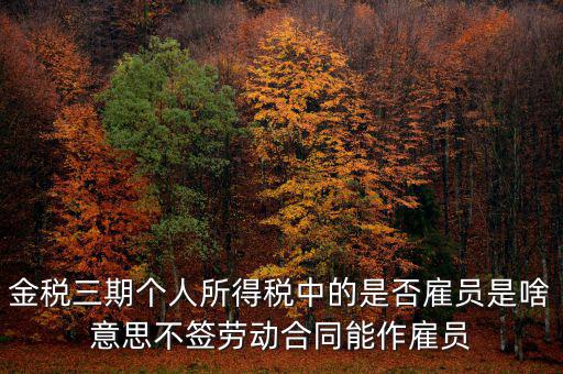 金稅非雇員什么意思，地稅金三期 個(gè)稅申報(bào)表中的雇員非雇員是什么意思 該填哪些人
