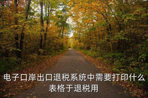 福建退稅備案的表格是什么樣的，出口退稅資格認定表