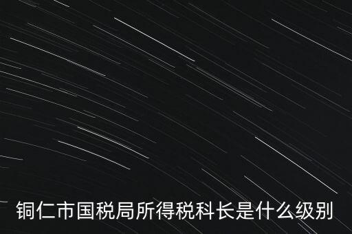 地稅局股長是什么級別，地稅里的職位 股長是什么級別