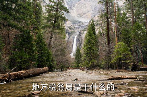 地稅局是干什么的，地方稅務局是干什么的