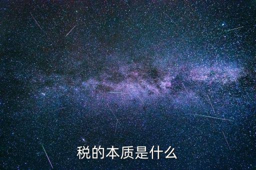 納稅服務(wù)的本質(zhì)是什么意思，稅收的本質(zhì)是什么
