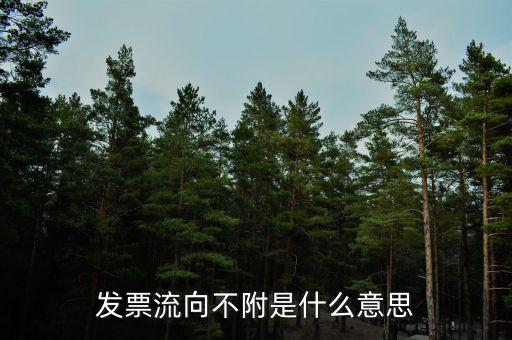 什么是流向票，發(fā)票流向不附是什么意思