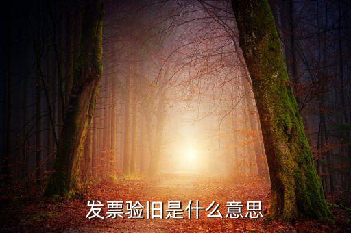 增值稅驗舊是什么意思，發(fā)票驗證時提示舊系統(tǒng)已驗舊是什么意思