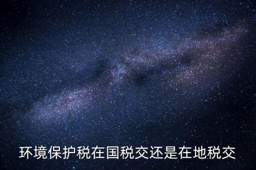 什么人要交環(huán)境保護(hù)稅，環(huán)境保護(hù)稅在國(guó)稅交還是在地稅交
