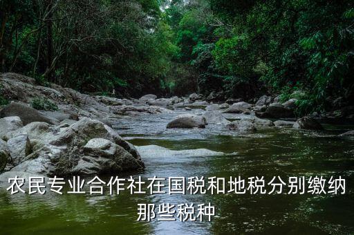 稅務(wù)局向合作社收取什么稅，農(nóng)民專業(yè)合作社在國稅和地稅分別繳納那些稅種