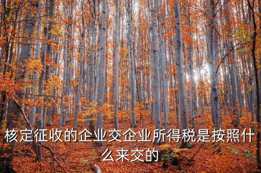 核定稅稅率是按照什么作參照的，稅率按照哪個來定