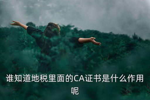 稅務(wù)企業(yè)ca登錄是什么意思，網(wǎng)上報(bào)稅CA驗(yàn)證系統(tǒng)是甚么