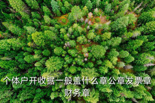 個(gè)體戶的定額發(fā)票蓋什么章，個(gè)體戶的定額發(fā)票上蓋的個(gè)體戶章能用嗎