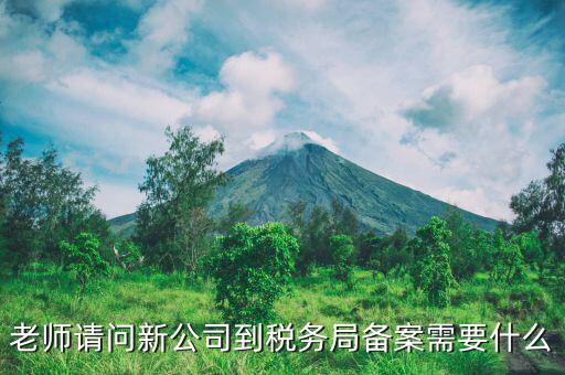 稅務(wù)報(bào)備需要什么材料，稅務(wù)備案需要哪些資料
