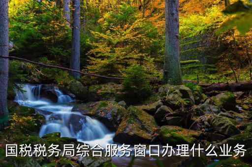 國稅大廳辦理什么業(yè)務(wù)，辦稅大廳都做些什么事