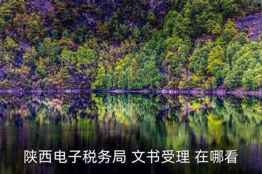 稅局文書受理是什么，陜西電子稅務(wù)局 文書受理 在哪看