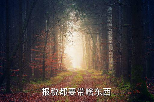 大連國稅局報稅帶什么東西，報稅都要帶啥東西
