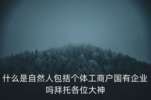 什么是稅務(wù)中的自然人，會(huì)計(jì)中自然人所指的是那種人