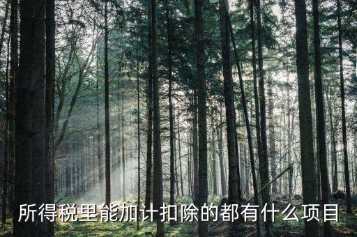 什么企業(yè)加計(jì)扣除，人員工資加計(jì)扣除政策是什么意思